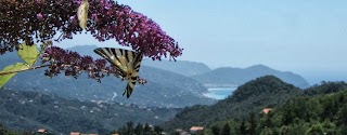 L'Albero delle Farfalle - Casa Vacanze