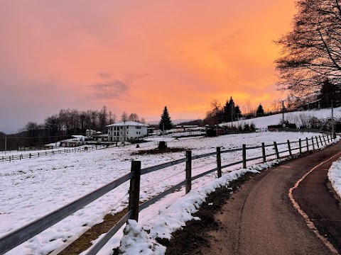 Favetto Family Ranch