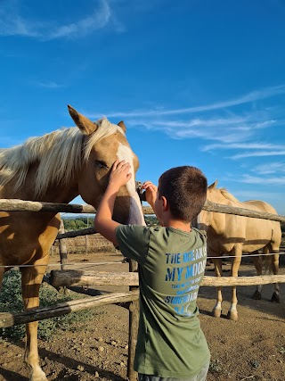 Az. Agricola Biologica ArtFarm - Centro Equestre