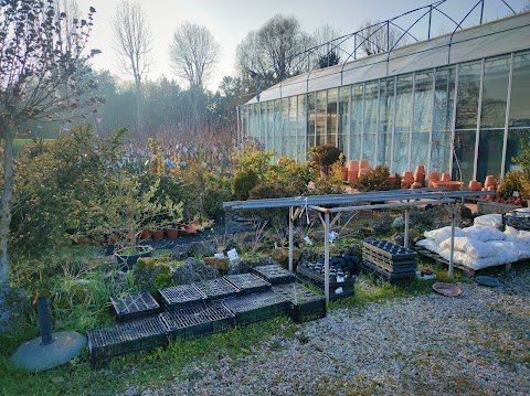 Azienda Agricola Floricola di Paparella Veronica