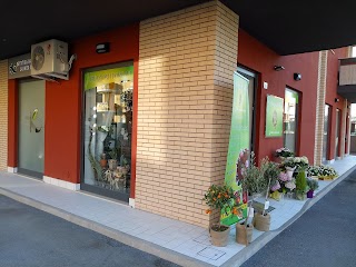 la Bottega di Flora