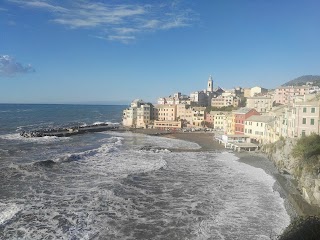 ASD Bogliasco 1951