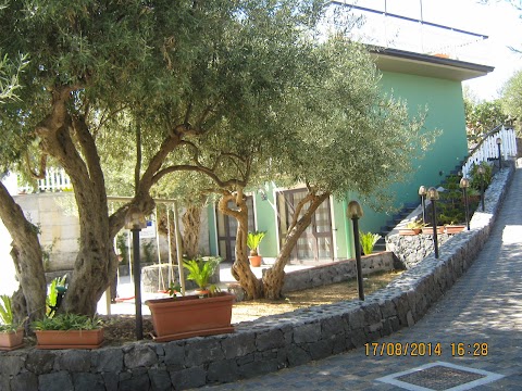 Azienda Agricola Cuntarati