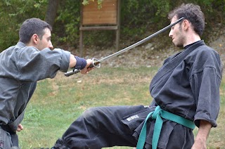 Bujinkan Kawasemi Dojo