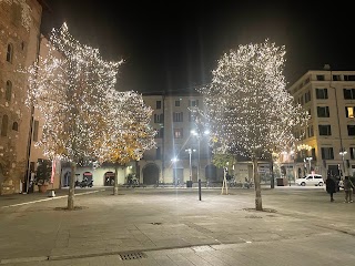 Taglio Italiano Brescia