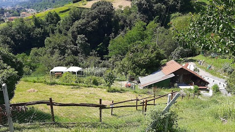 Campo cinofilo "La cascina di Alice "