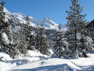 Fugues en Montagne