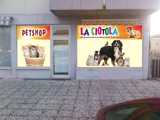 La Ciotola Petshop