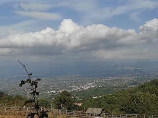 La Collina degli Asinelli