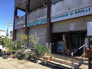 Centro Agricolo Lavinio