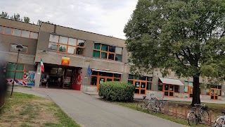 Scuole Pubbliche Scuole Medie Zappa