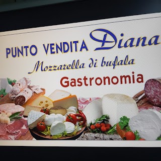 PUNTO VENDITA DIANA