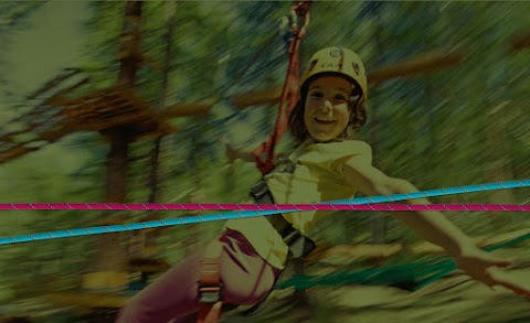 Adventure Park Lago d'Orta Le Pigne