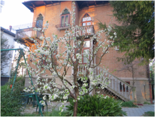 Villa Elisabetta