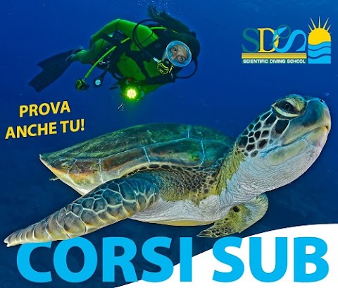 corsi sub Bologna - SDS Scientific Diving School