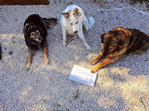 Centro di Educazione del Cane CANI ED EMOZIONI