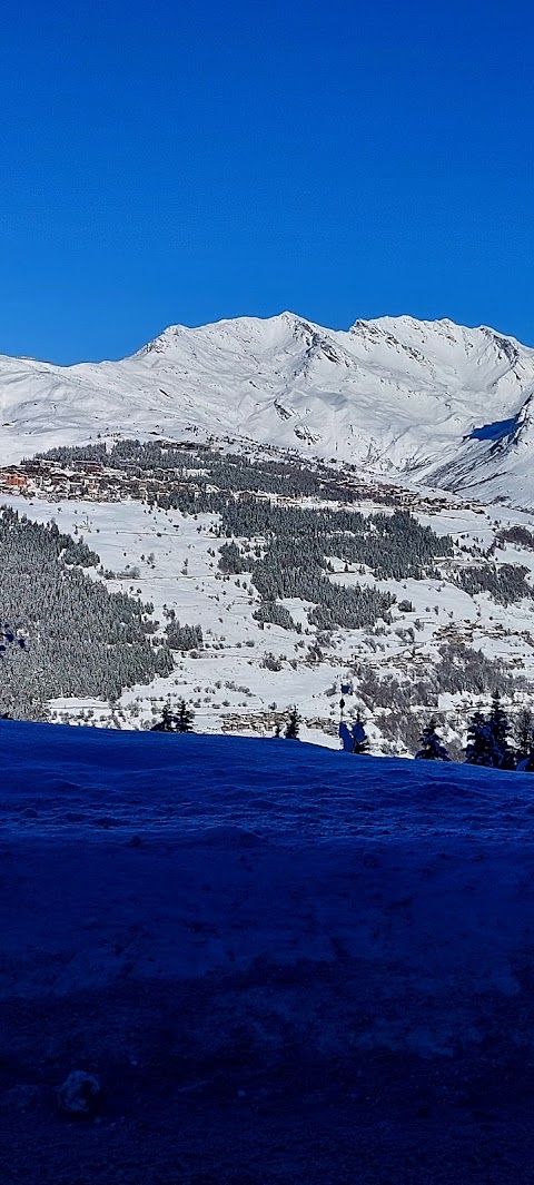 Snow-Taxi - Alpine Transports