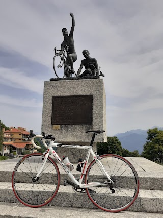 Cicli Dotti