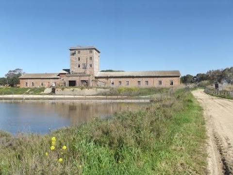 Nucleo Carabinieri Biodiversita' della Riserva naturale "Saline di Tarquinia"