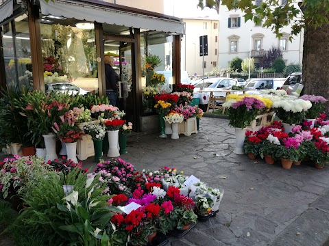 Chiosco Fiori Nencini di Corradossi Grazia