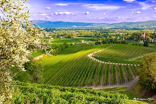 Sentiero delle Vigne Alte