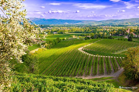 Sentiero delle Vigne Alte