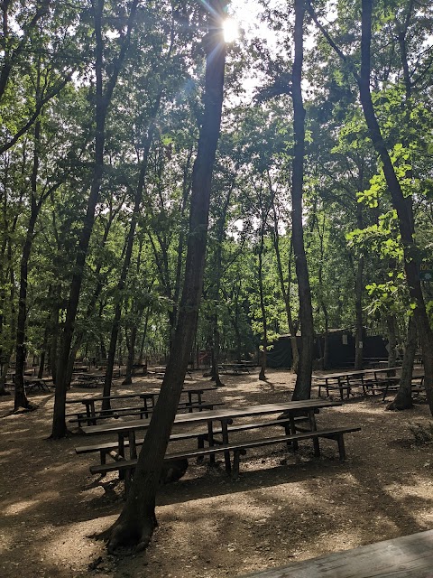 Parco Natura La Selvotta