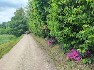 Monte Boscalbò 119 m slM