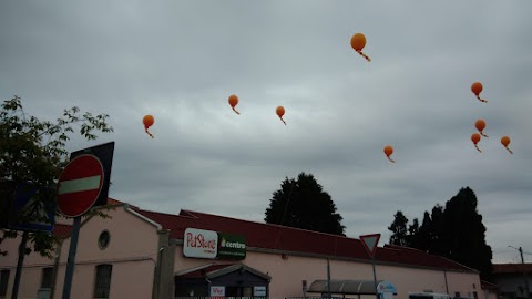 PETSTORE CONAD