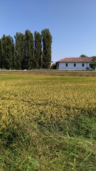 Scuola dell’Infanzia “Regina Pacis”