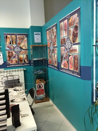 Skin Frame tattoo studio