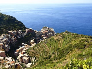 Amazing Liguria