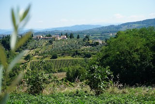 Agriturismo dall'Annita