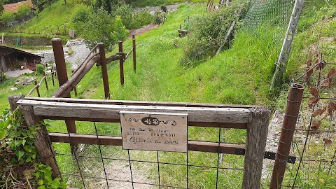 Campo cinofilo "La cascina di Alice "