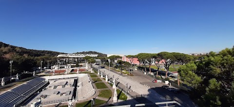 Università degli Studi di Roma "Foro Italico"