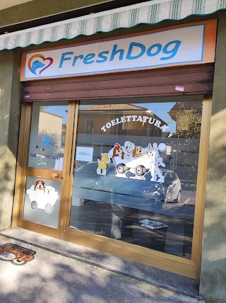 Fresh Dog Pantigliate - Toelettatura cani e gatti