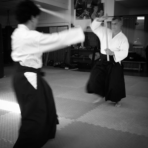 Gakuen Bujutsu Kai Accademia di Arti Marziali