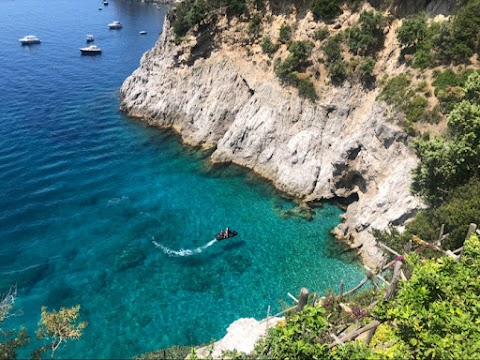 Villa la Madonnina Amalfi Coast waterfront