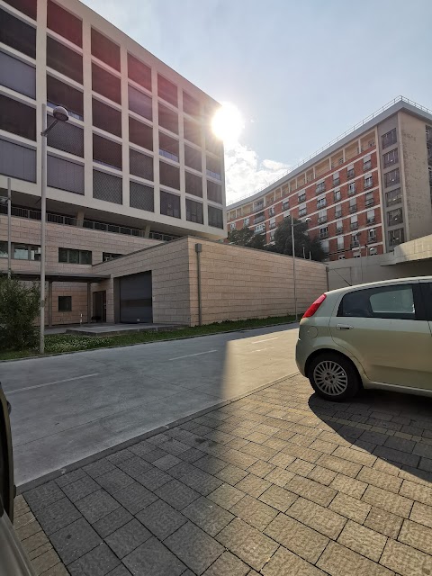 Ospedale Borgo Trento, Pronto Soccorso e Trauma Center