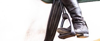 Royal Rider Stirrups Italy