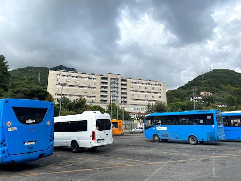 Azienda U.S.L. 1 Di Massa E Carrara Gonad