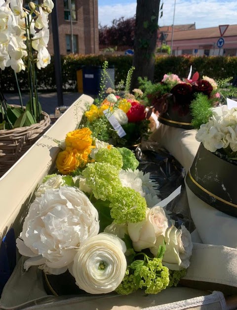 Le Bouquet di Marzia Boselli