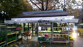 L'angolo Dei Fiori di Servino Gabriel