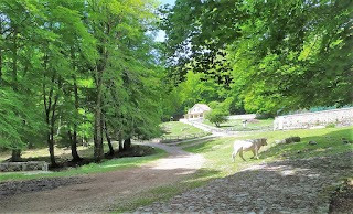 Rifugio Trombetta