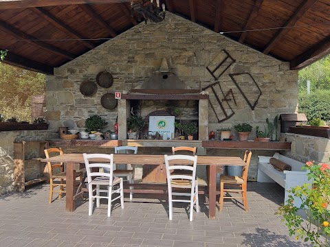 Azienda Agrituristica Ca’ d’Alfieri