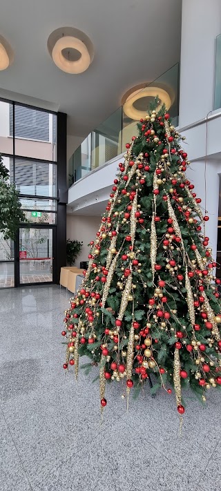 Ospedale Pederzoli, Pronto Soccorso