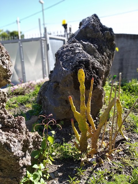 AgriCamping Stone Vesuvio - Area Sosta Camper e Caravan