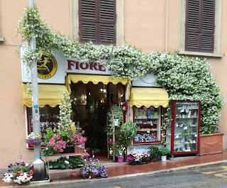 La Boutique Del Fiore Di Agostinetto Alessandro