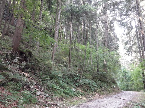 Azienda per Il Turismo Alpecimbra