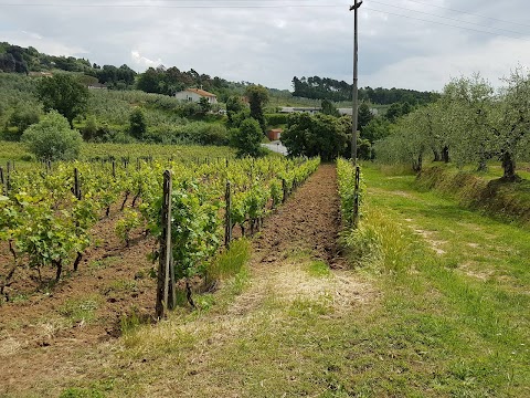 Fattoria Valdrighi